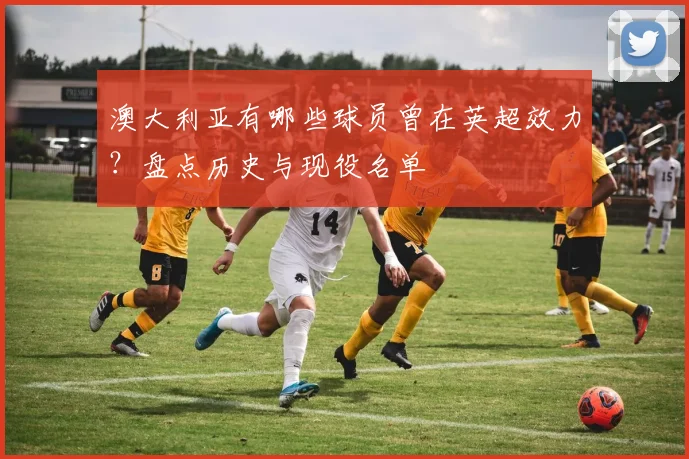 澳大利亚有哪些球员曾在英超效力？盘点历史与现役名单